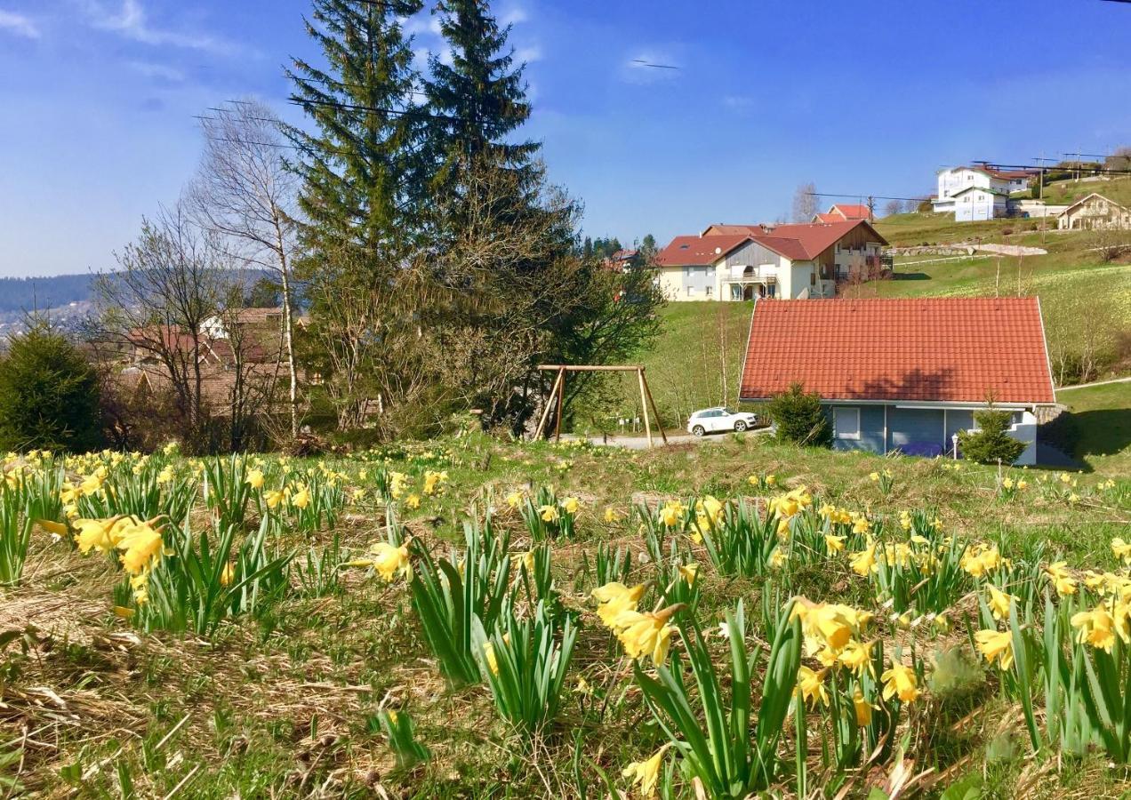 Chalet Le Flocon Bleu - Mauselaine Avec Vue Sur Le Lac De ג'רארדמר מראה חיצוני תמונה