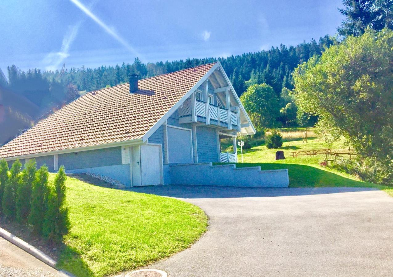 Chalet Le Flocon Bleu - Mauselaine Avec Vue Sur Le Lac De ג'רארדמר מראה חיצוני תמונה