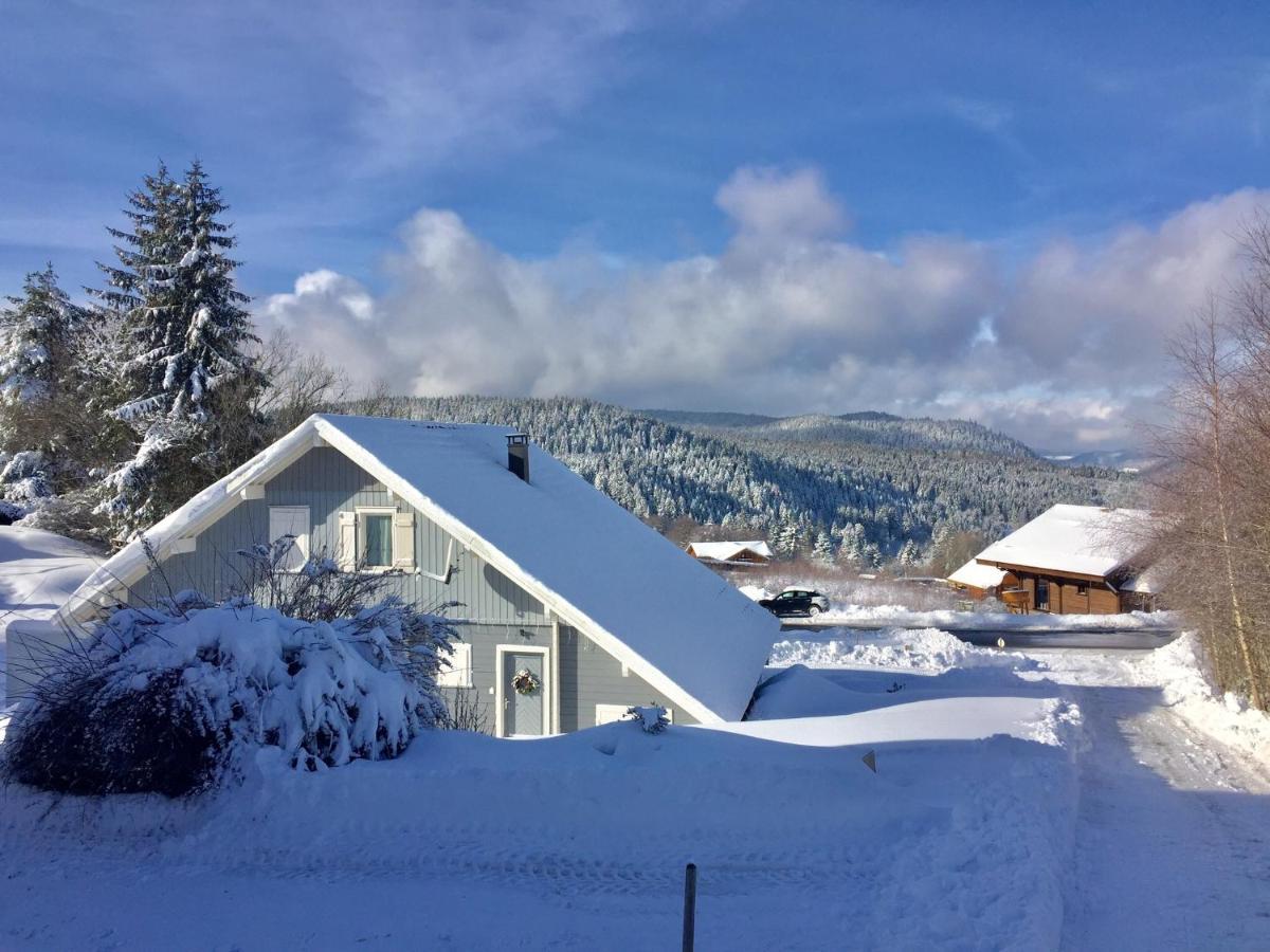 Chalet Le Flocon Bleu - Mauselaine Avec Vue Sur Le Lac De ג'רארדמר מראה חיצוני תמונה