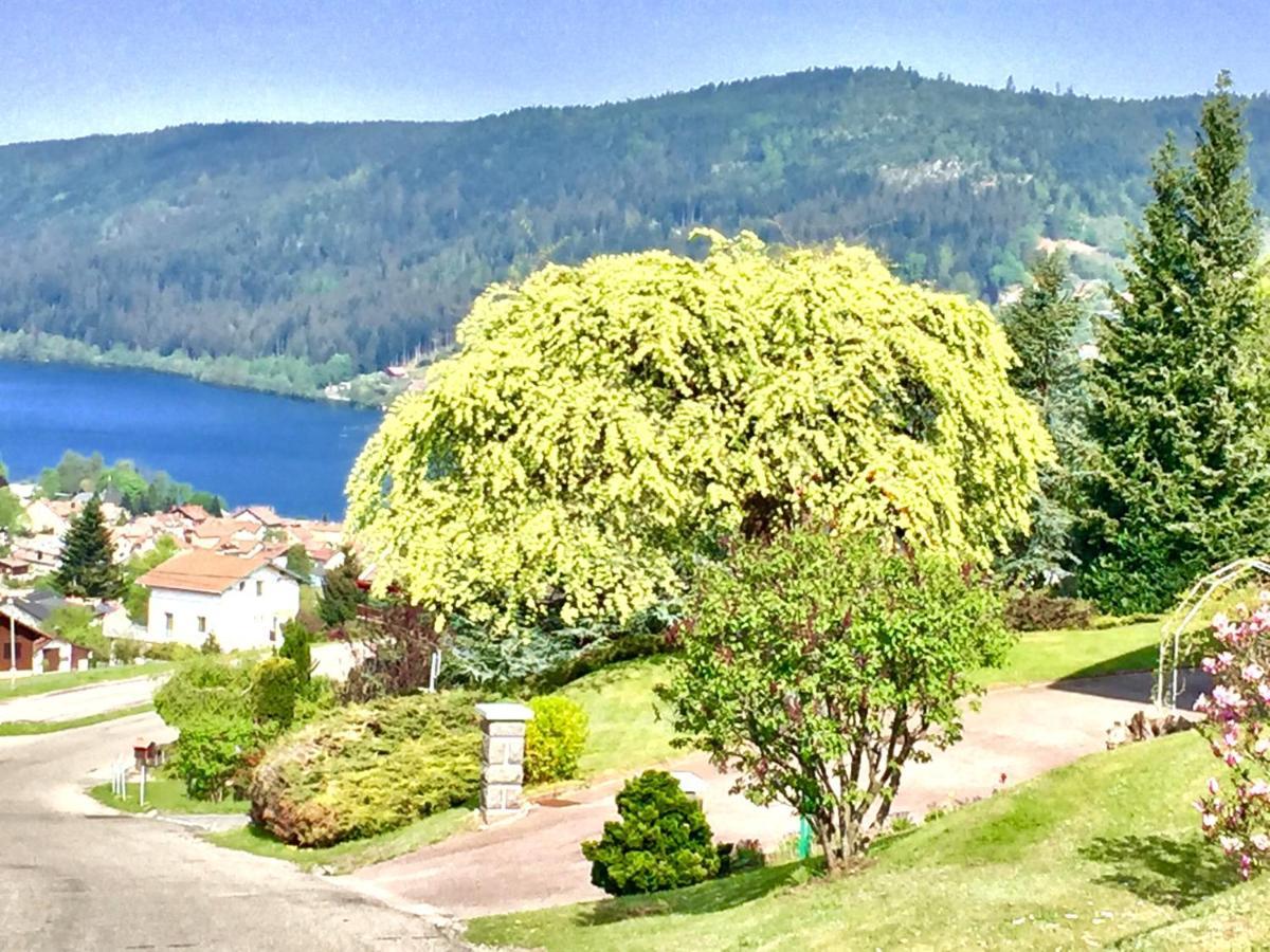 Chalet Le Flocon Bleu - Mauselaine Avec Vue Sur Le Lac De ג'רארדמר מראה חיצוני תמונה