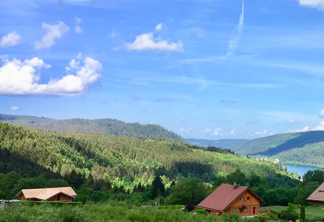 Chalet Le Flocon Bleu - Mauselaine Avec Vue Sur Le Lac De ג'רארדמר מראה חיצוני תמונה