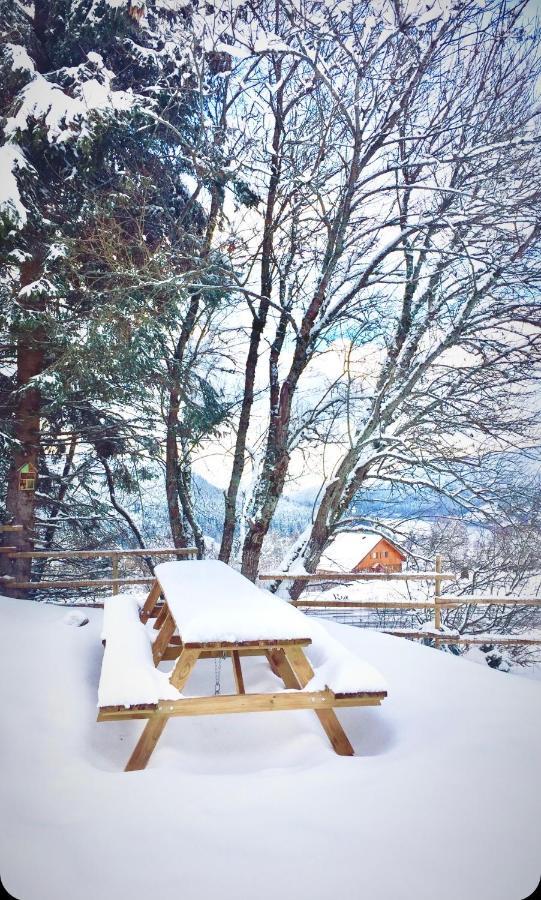 Chalet Le Flocon Bleu - Mauselaine Avec Vue Sur Le Lac De ג'רארדמר מראה חיצוני תמונה