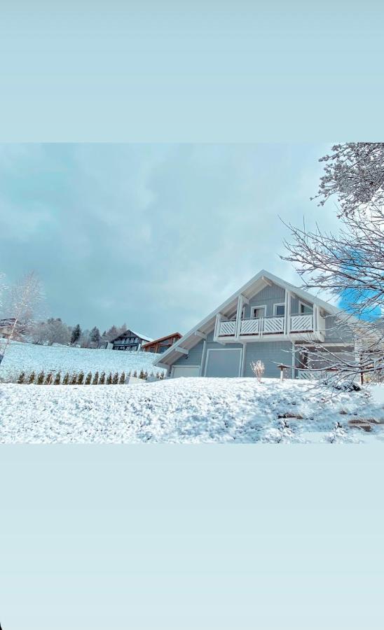 Chalet Le Flocon Bleu - Mauselaine Avec Vue Sur Le Lac De ג'רארדמר מראה חיצוני תמונה